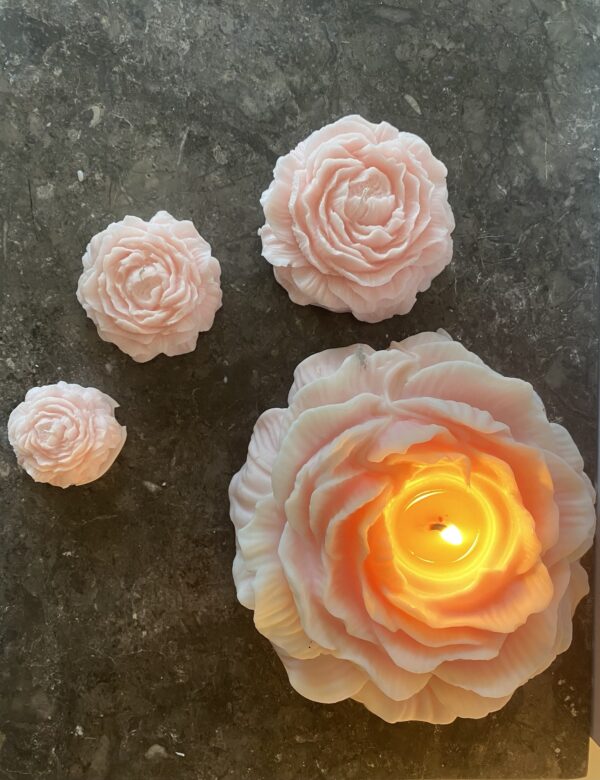 Peony Candle XL