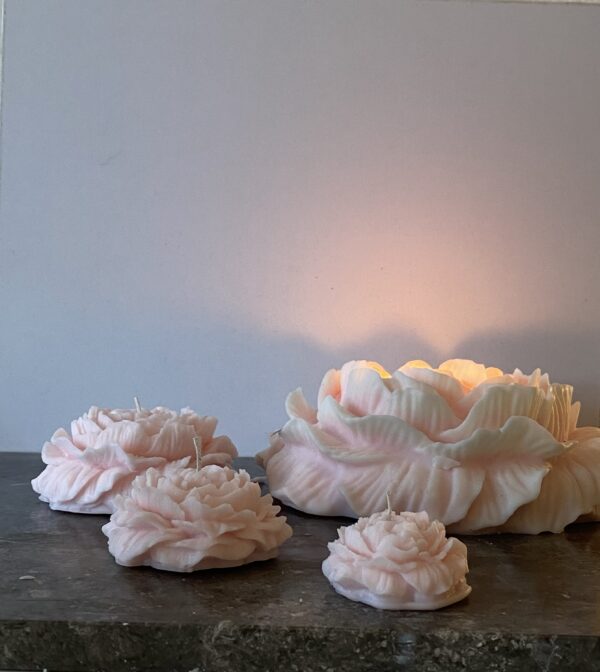 Peony Candle XL