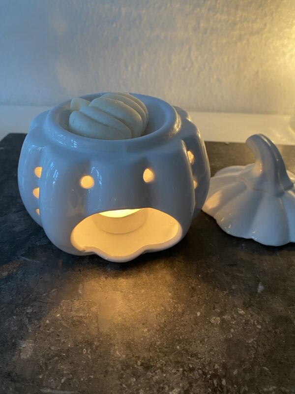 Pumpkin Wax Melter